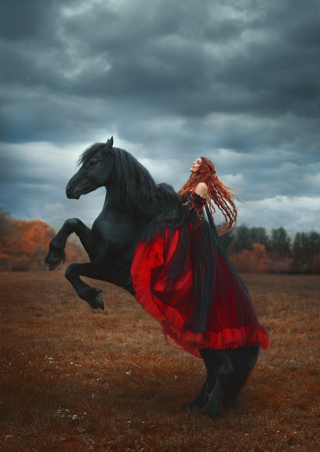 Focení s cvičeným koněm